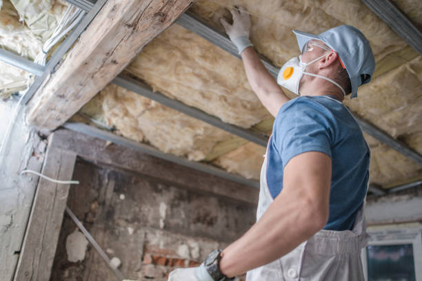 Best Insulation for Specific Applications in Langston, OK